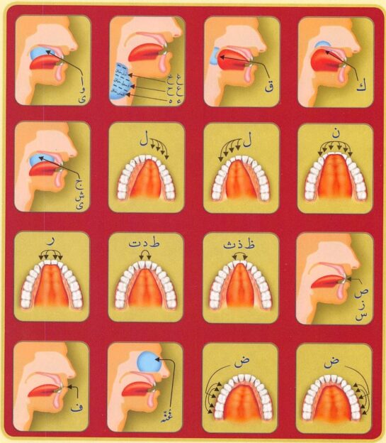 learn-quran-with-tajweed-singapore {{brizy_dc_image_alt imageSrc=